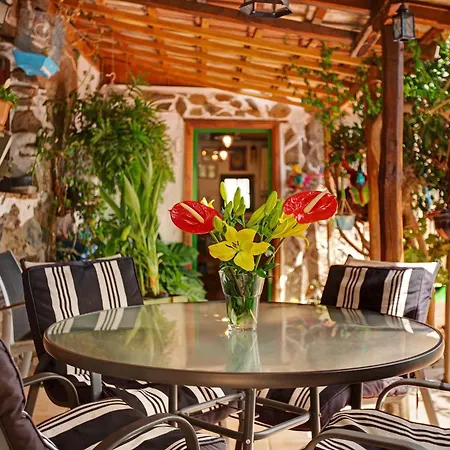 Casa Pinos